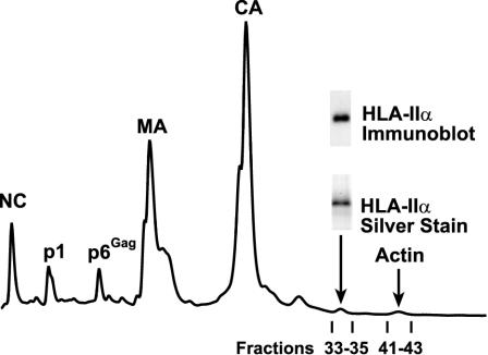 FIG. 9.