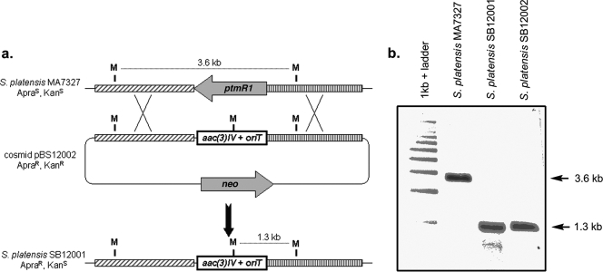 FIG. 5.