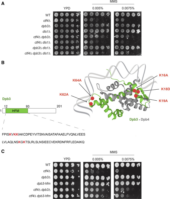 Figure 2.