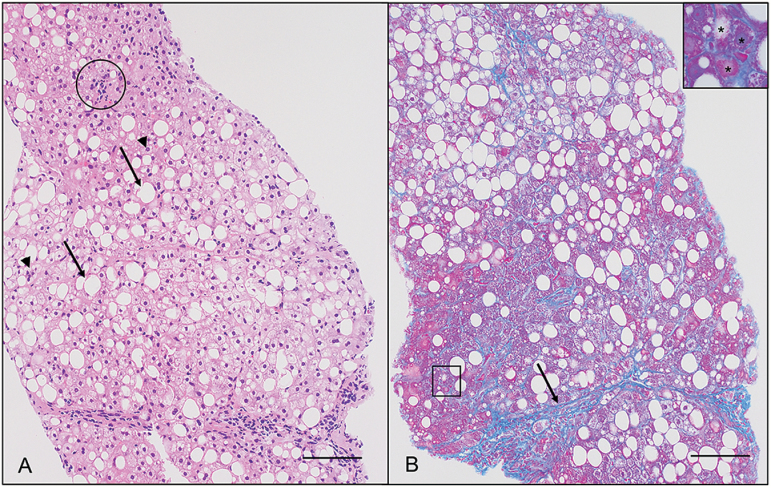 Figure 1.