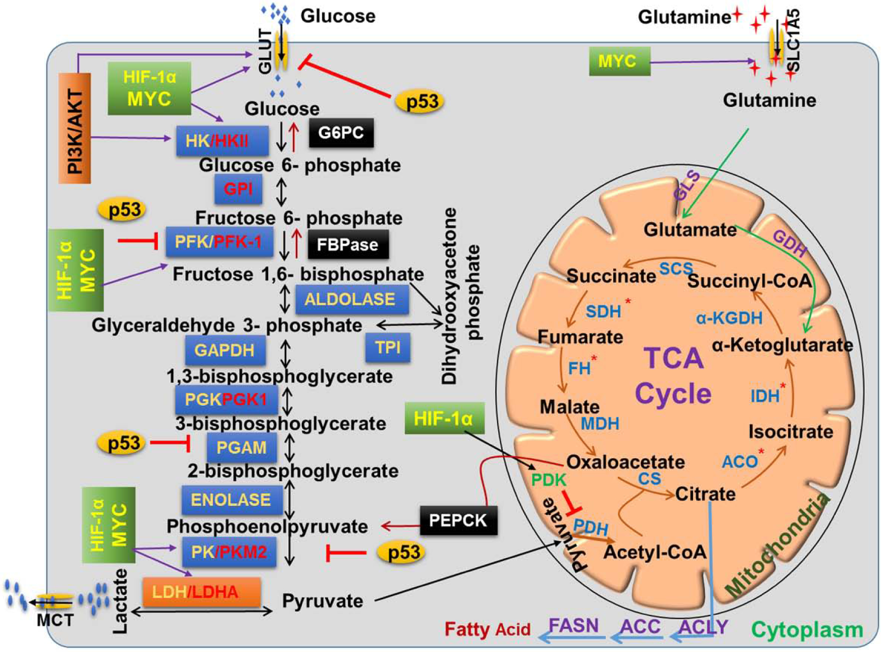 Figure 1: