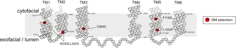 Fig. S2.