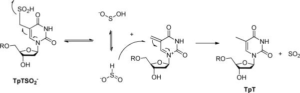 Scheme 5