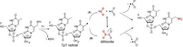 Scheme 6