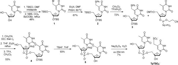 Scheme 3