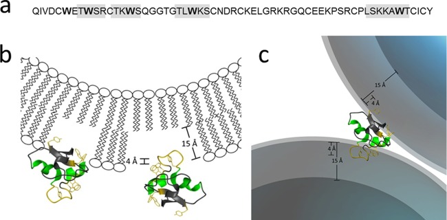 Fig 8