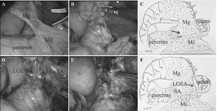 Fig. 4