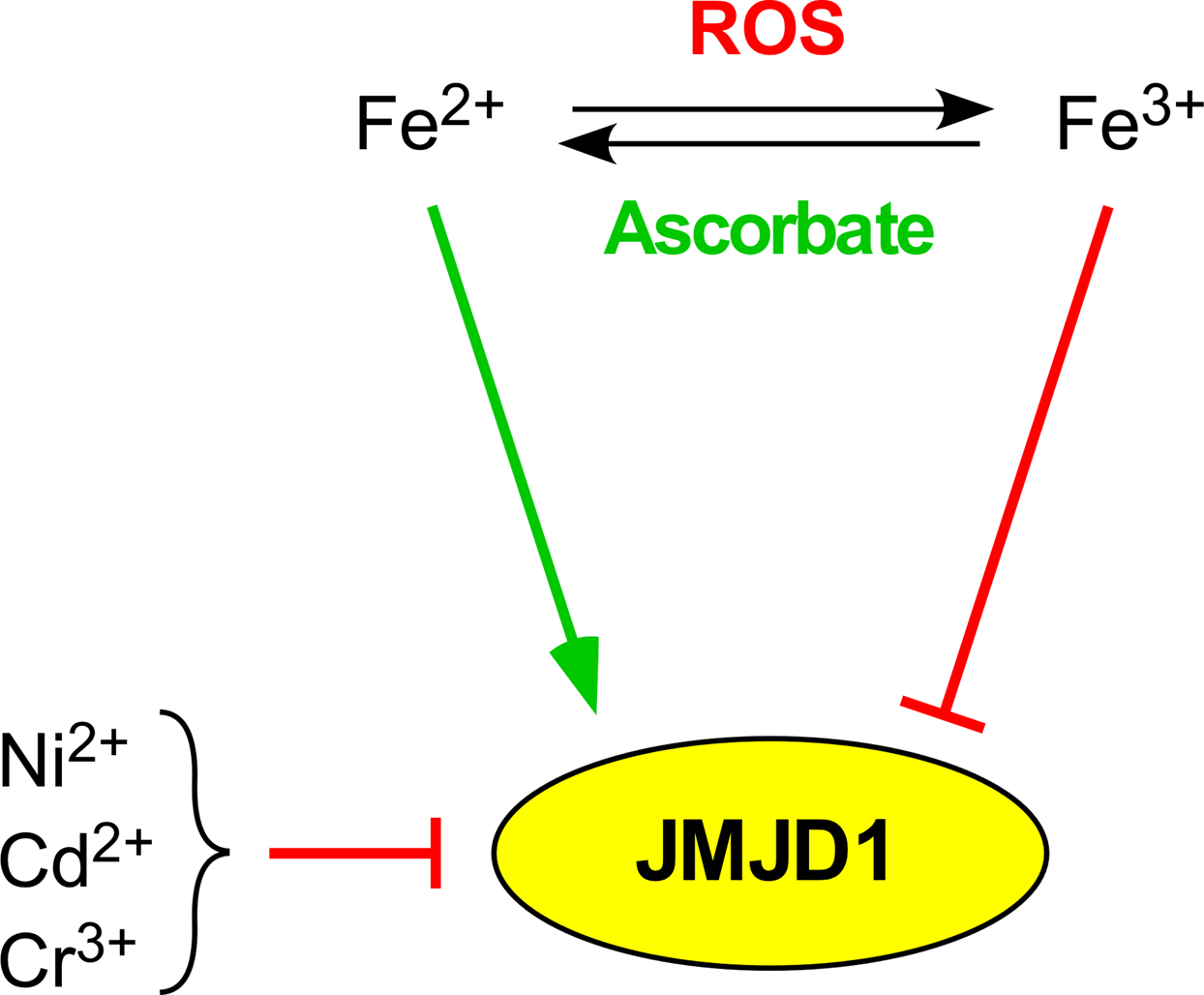 Fig. 5.