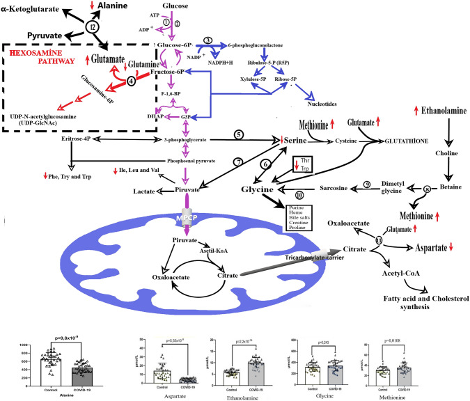 Fig. 1