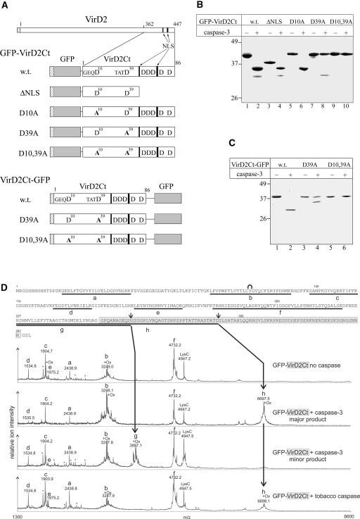 Figure 2.