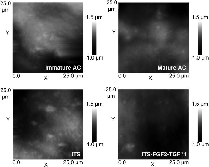 Fig. 3