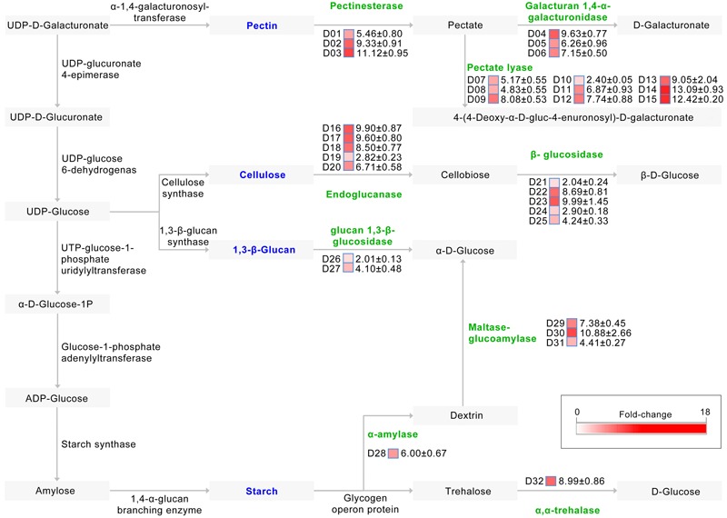 FIGURE 4