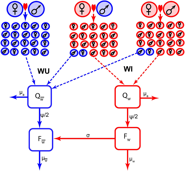 Fig. 1