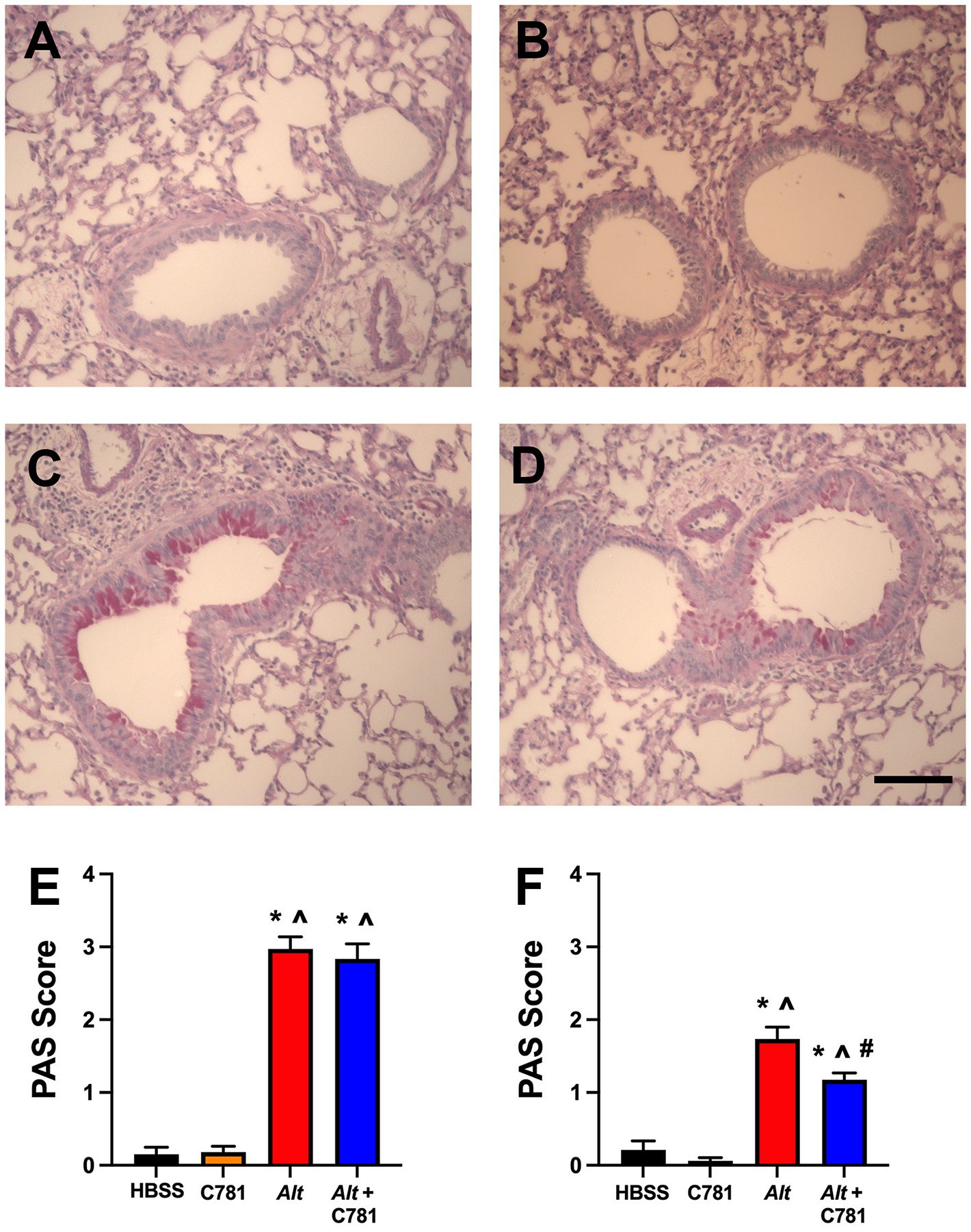 Figure 6: