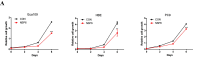 Supplementary Figure 1