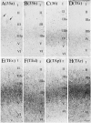 Fig.8