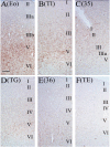 Fig.11