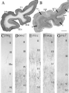Fig.9