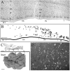 Fig.4