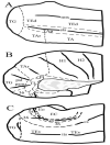 Fig.14