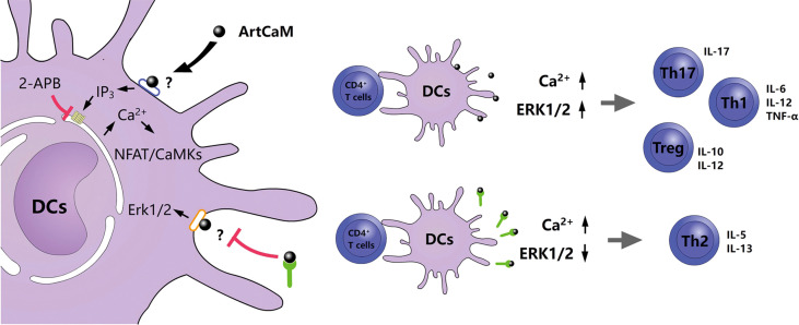 Figure 6