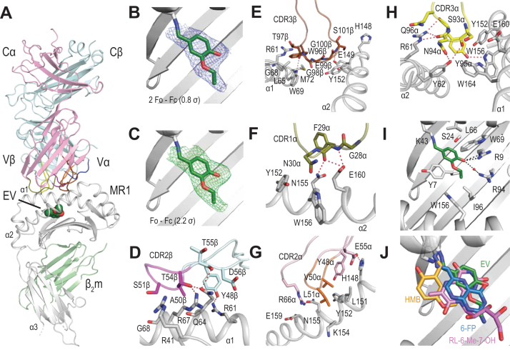 Figure 6