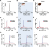 Fig. 3: