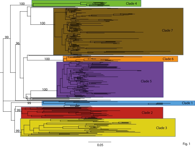 graphic file with name fig1pnas.jpg