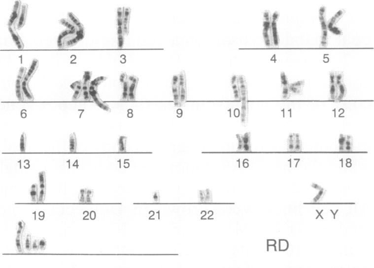 graphic file with name pnas01079-0248-a.jpg