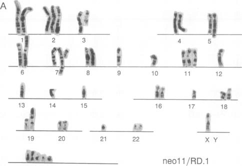 graphic file with name pnas01079-0250-a.jpg