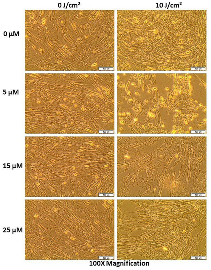 Figure 12