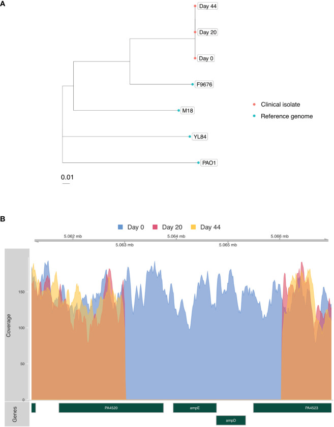 Figure 2