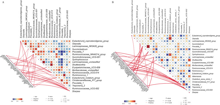 Figure shows two correlation matrices that display relationships between bacterial groups and genes involved in specific pathways. Positive correlations are marked in orange, negative ones are in blue. Network lines highlight significant correlations.