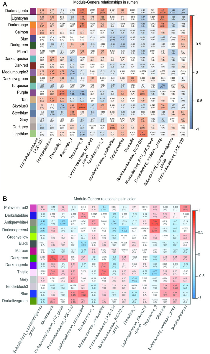 Figure shows heat maps of correlations between bacterial genera and modules in lambs of rumen and colon. Red indicates positive, and blue shows negative correlations. Patterns reveal distinct microbial relationships influenced by diet and composition.