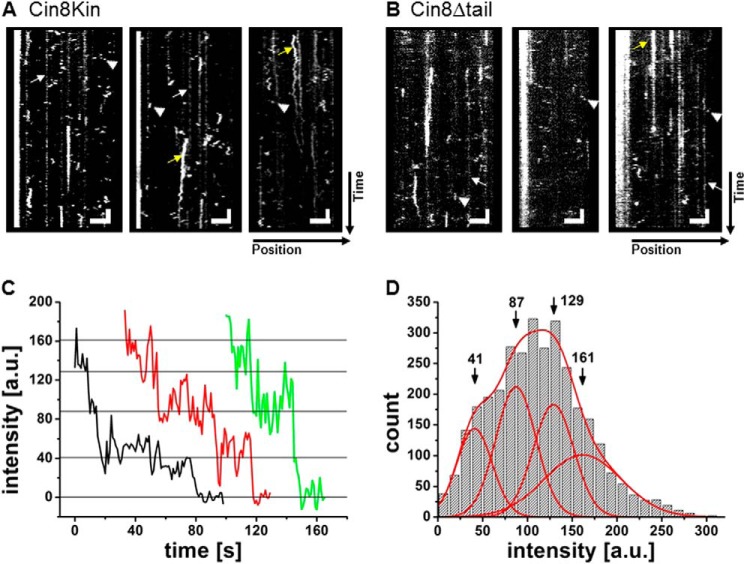 FIGURE 4.