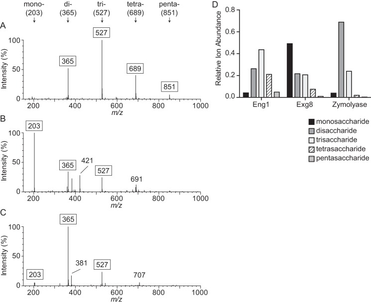 FIGURE 3.