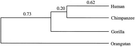 Figure  2