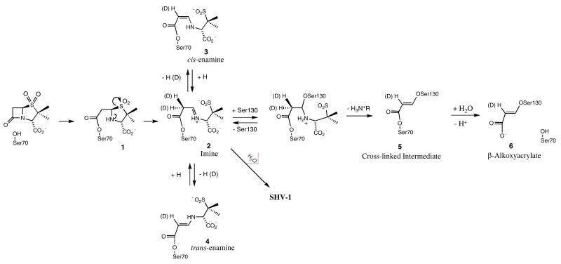 Scheme 1