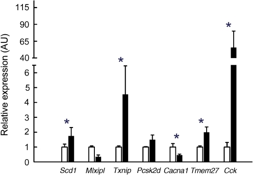 Fig. 3