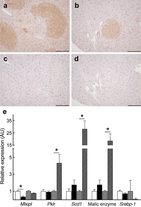 Fig. 4