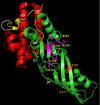 FIGURE 3.