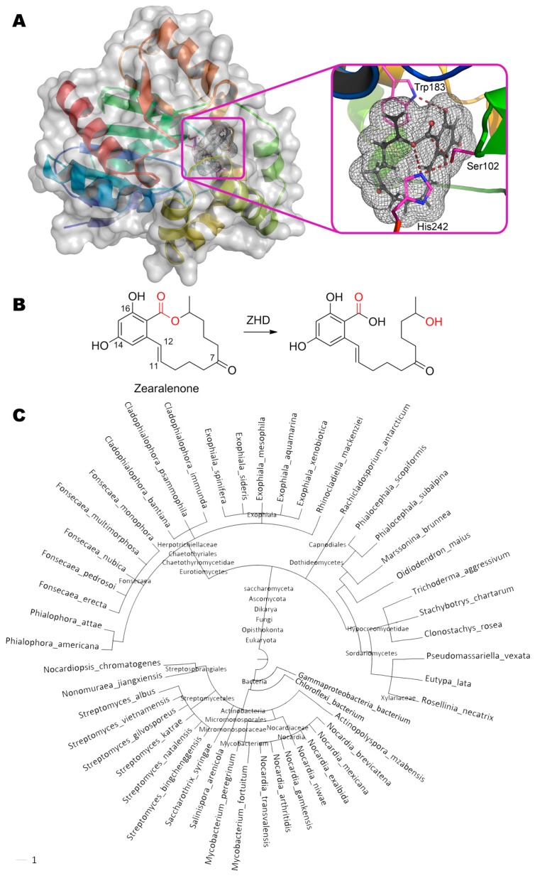 Figure 5