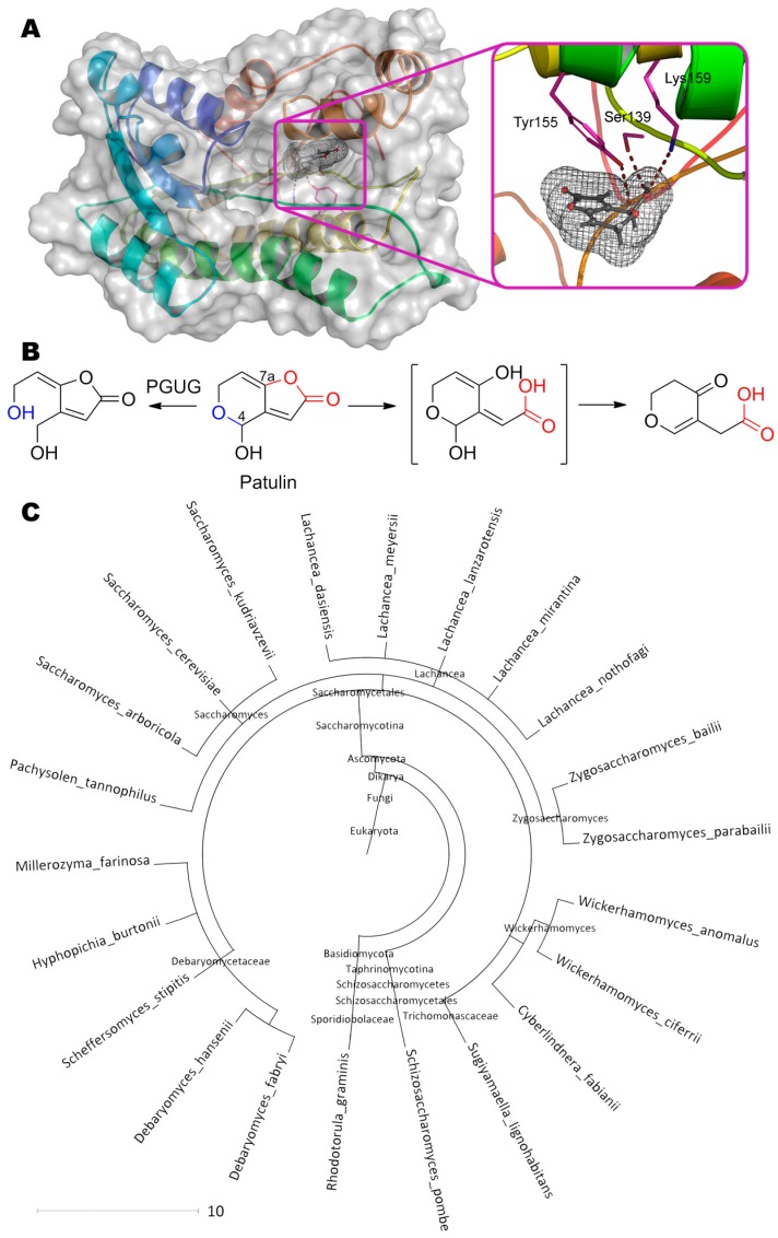 Figure 7