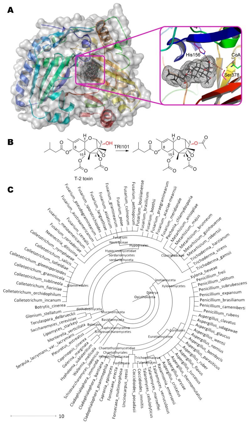 Figure 12