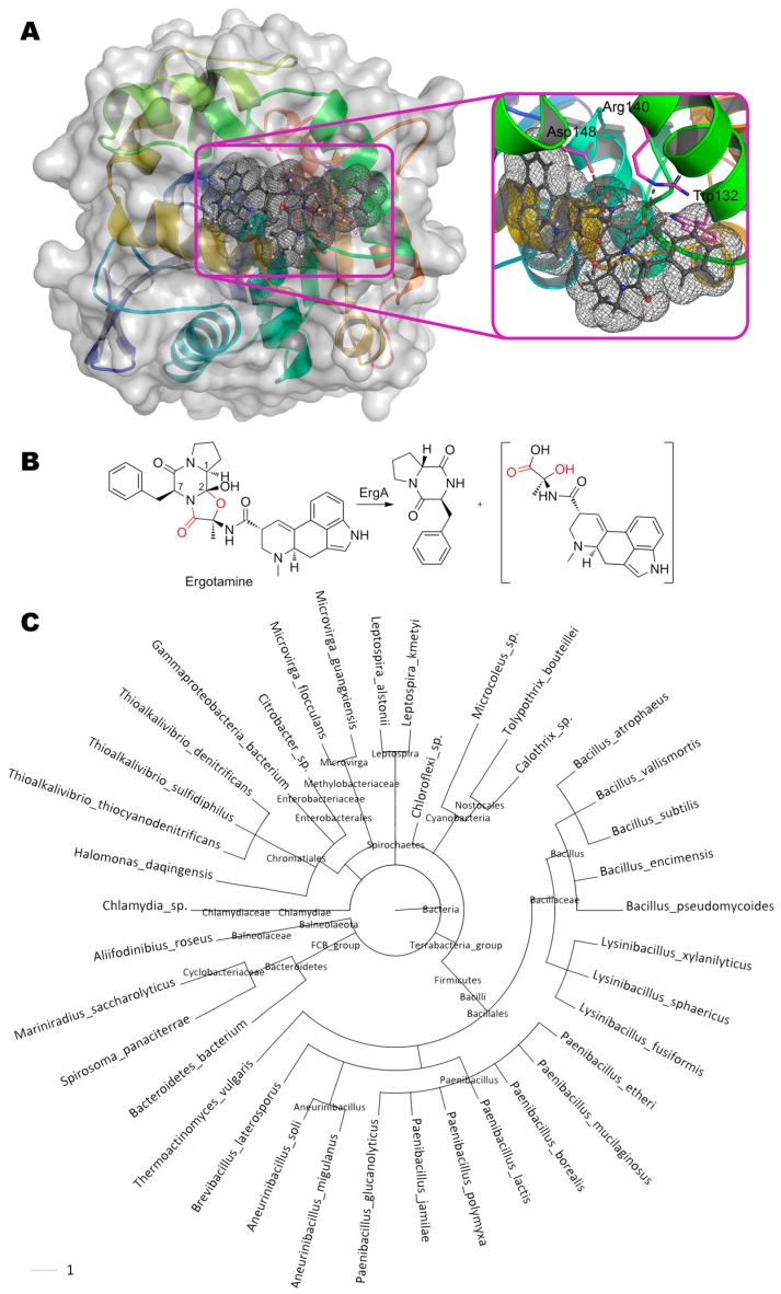 Figure 10