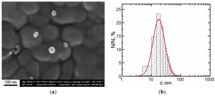 Figure 13