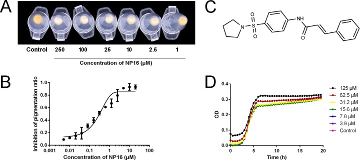 FIG 2 