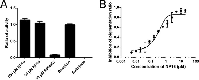 FIG 3 