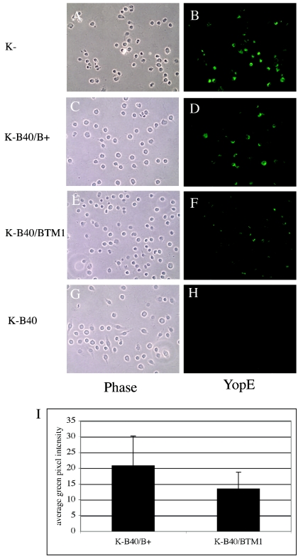 FIG. 6.