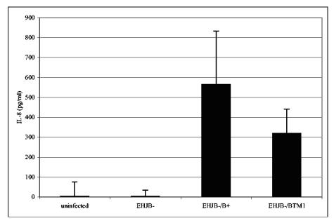 FIG. 10.